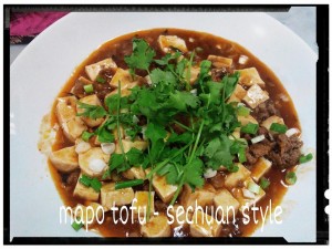 mapo tofu - sechuan style